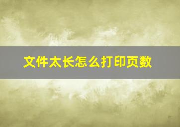 文件太长怎么打印页数