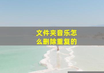 文件夹音乐怎么删除重复的