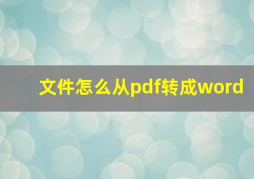 文件怎么从pdf转成word