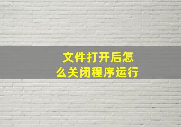 文件打开后怎么关闭程序运行