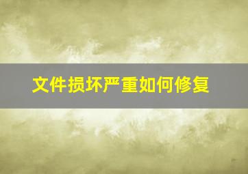 文件损坏严重如何修复