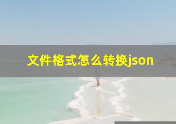 文件格式怎么转换json