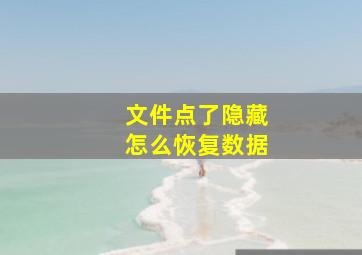 文件点了隐藏怎么恢复数据