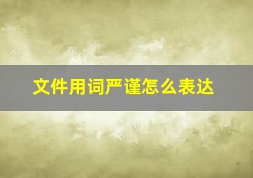 文件用词严谨怎么表达