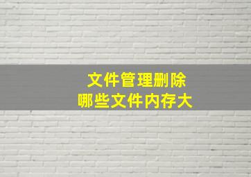 文件管理删除哪些文件内存大