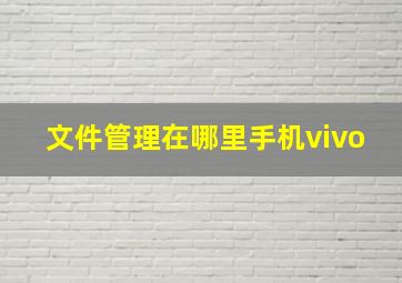 文件管理在哪里手机vivo