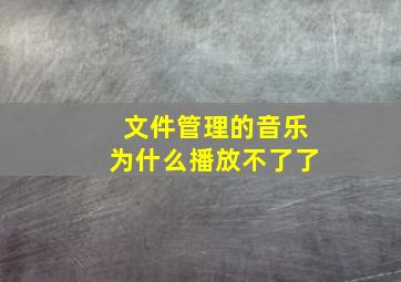 文件管理的音乐为什么播放不了了