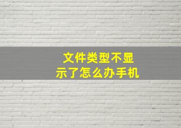 文件类型不显示了怎么办手机