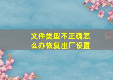 文件类型不正确怎么办恢复出厂设置