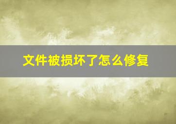 文件被损坏了怎么修复