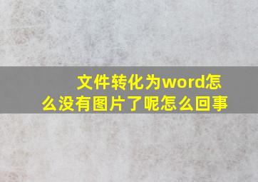 文件转化为word怎么没有图片了呢怎么回事