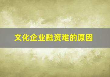 文化企业融资难的原因