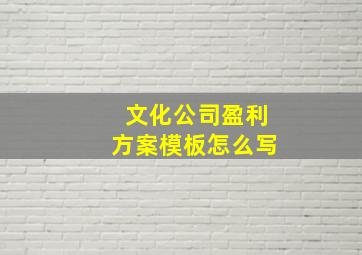 文化公司盈利方案模板怎么写