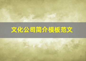 文化公司简介模板范文