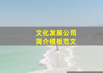 文化发展公司简介模板范文