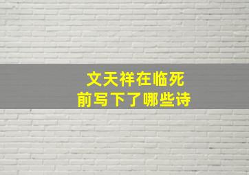 文天祥在临死前写下了哪些诗