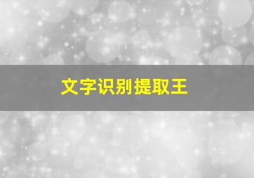 文字识别提取王