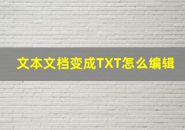 文本文档变成TXT怎么编辑