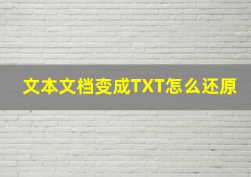 文本文档变成TXT怎么还原