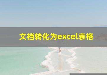 文档转化为excel表格