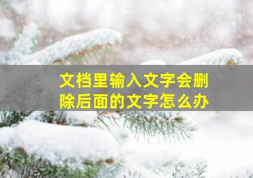 文档里输入文字会删除后面的文字怎么办