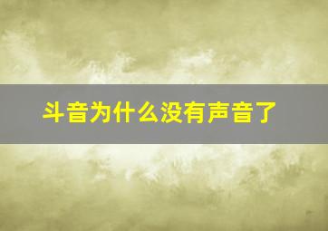 斗音为什么没有声音了