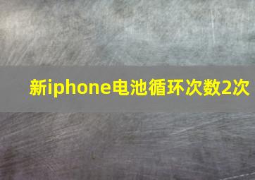 新iphone电池循环次数2次