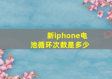 新iphone电池循环次数是多少