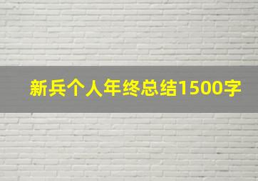 新兵个人年终总结1500字