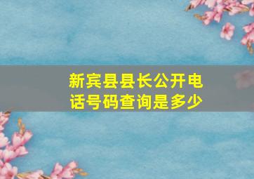 新宾县县长公开电话号码查询是多少