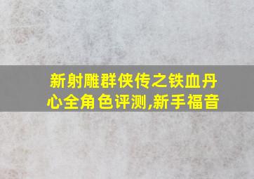 新射雕群侠传之铁血丹心全角色评测,新手福音