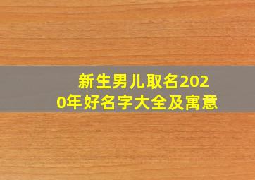 新生男儿取名2020年好名字大全及寓意