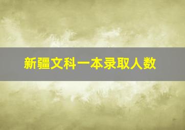 新疆文科一本录取人数