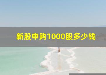 新股申购1000股多少钱