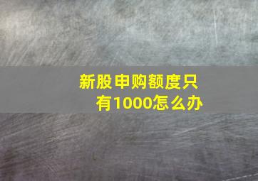 新股申购额度只有1000怎么办