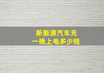 新能源汽车充一晚上电多少钱