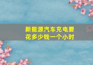 新能源汽车充电要花多少钱一个小时