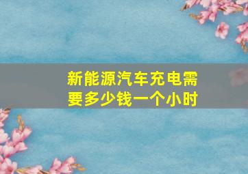 新能源汽车充电需要多少钱一个小时