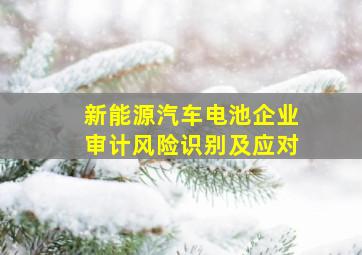 新能源汽车电池企业审计风险识别及应对