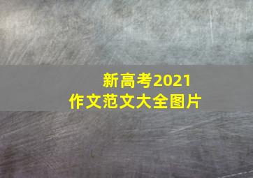 新高考2021作文范文大全图片