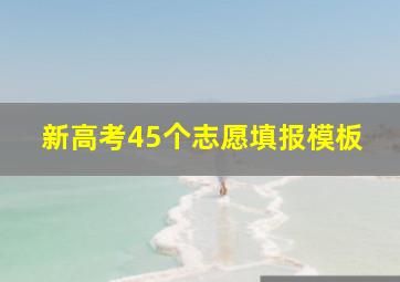 新高考45个志愿填报模板