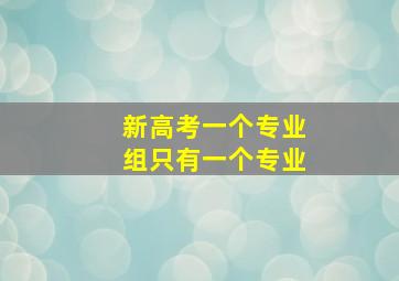 新高考一个专业组只有一个专业