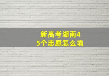 新高考湖南45个志愿怎么填