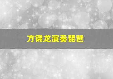 方锦龙演奏琵琶