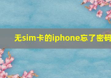 无sim卡的iphone忘了密码