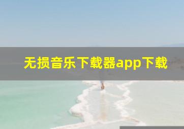 无损音乐下载器app下载