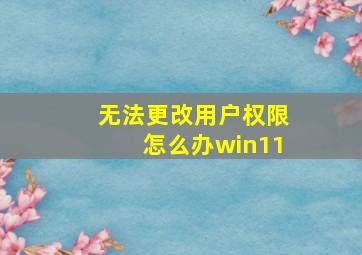 无法更改用户权限怎么办win11