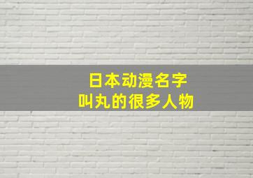 日本动漫名字叫丸的很多人物