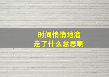 时间悄悄地溜走了什么意思啊