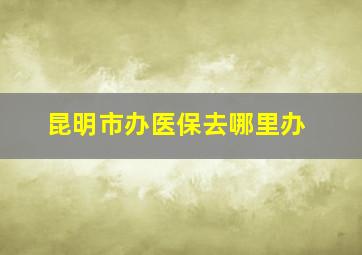 昆明市办医保去哪里办